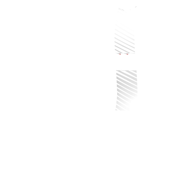 D4(背中ラインカラー)