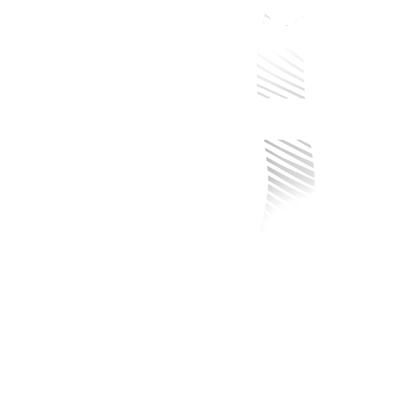 D4(背中ラインカラー)