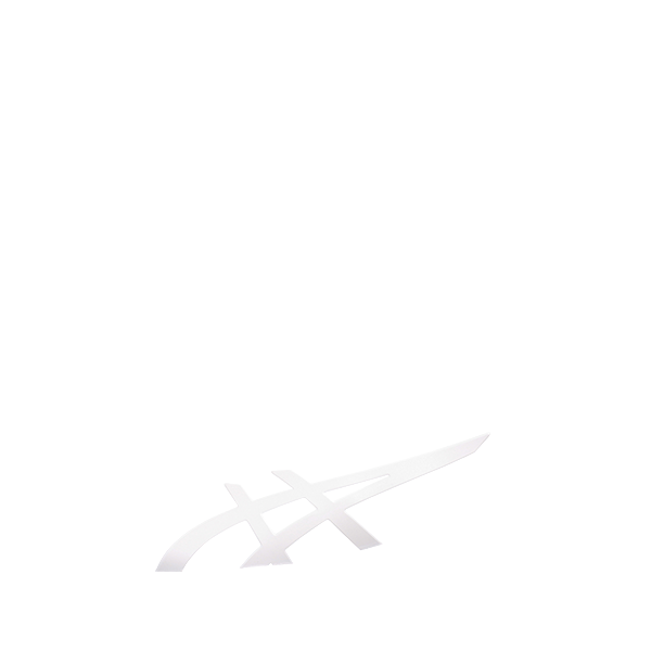 アシックスストライプカラー