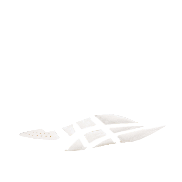 本体