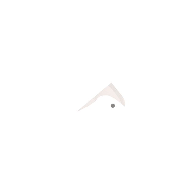 シュータン上部