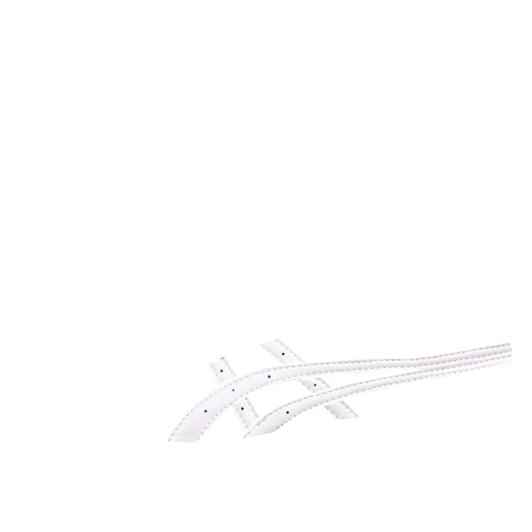 アシックスストライプ