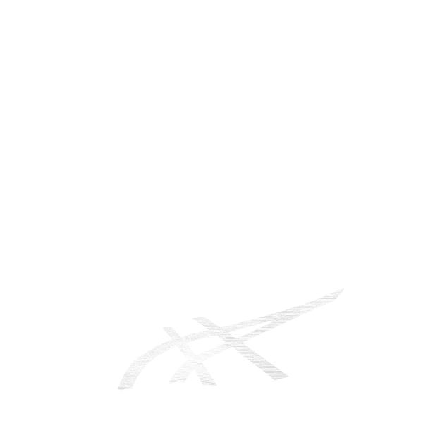 ストライプ(内)