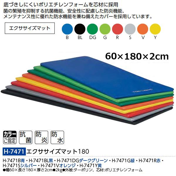 ◇高品質 トーエイライト カラー体操マット スイム 体操 エコカラー合成スポンジマット5cm厚 T-1113V