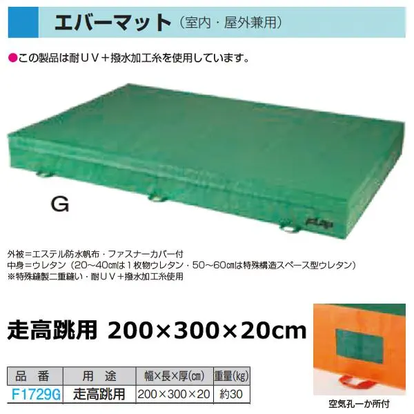 F1729G