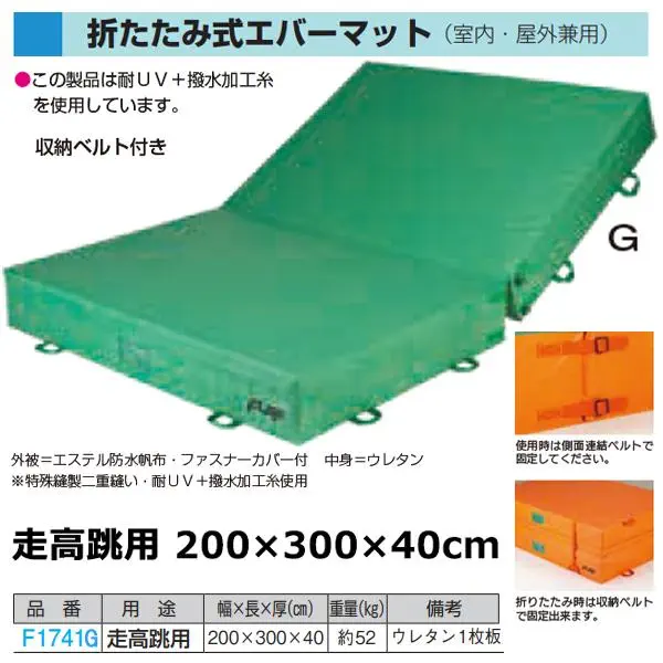 F1741G