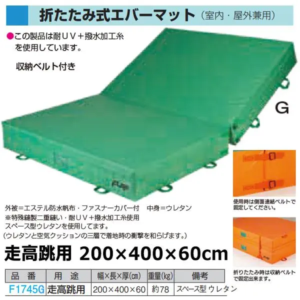 F1745G